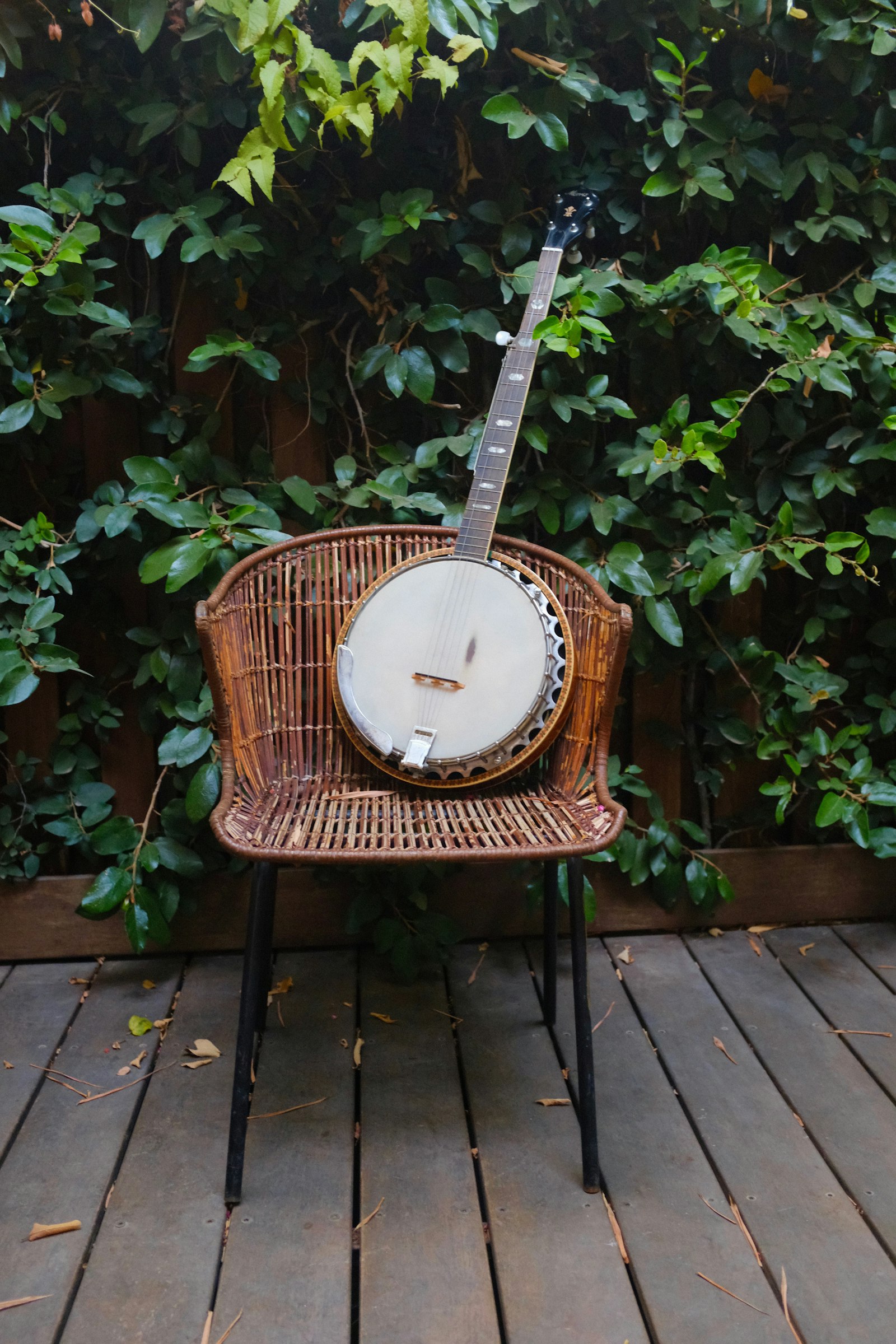 A banjo resting on a brown wicker chair.